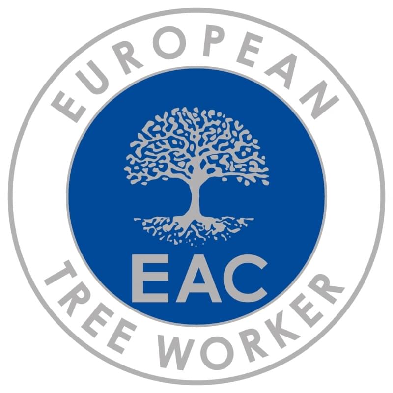European tree worker in Mönchengladbach